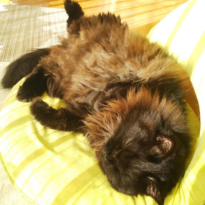 D3b651a9 2821 4b74 92b9 b458f433daf3 1574991636705