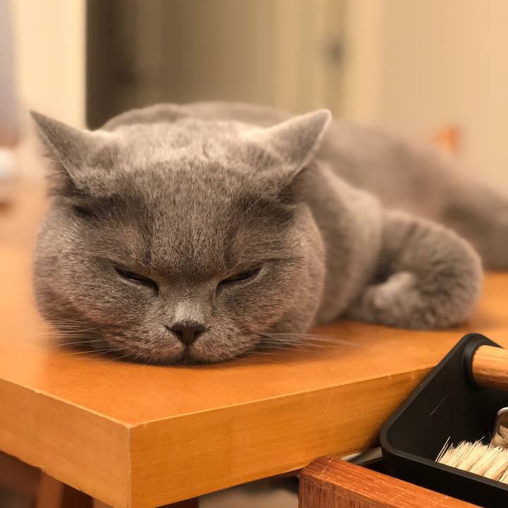 D3b65d28 dd9b 4e7c ba73 52c9e8b356a0 1515846241574