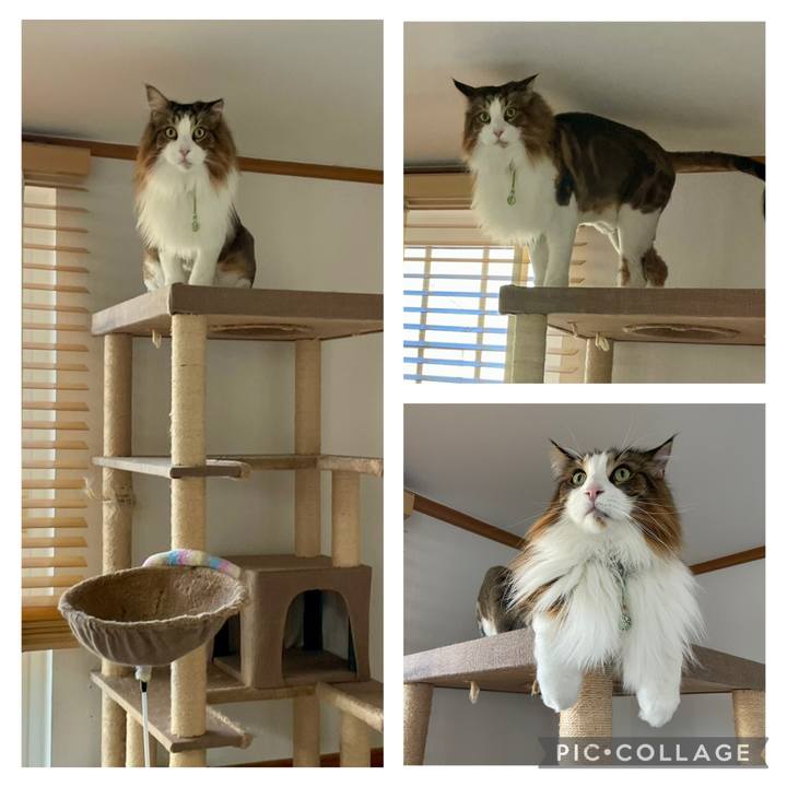 D3b66a5c eaaf 4944 b976 e3ffa3553b8a 1752358825907