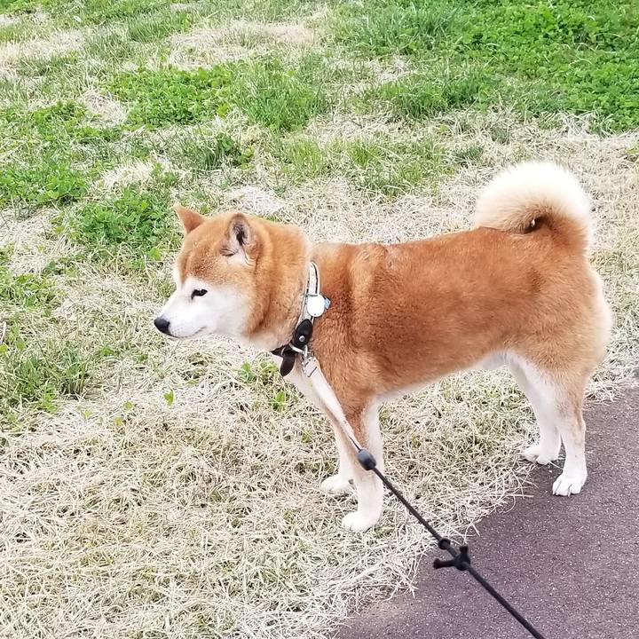 D3b67cec de99 46e4 a295 ef4915cb52dd 1619862896048