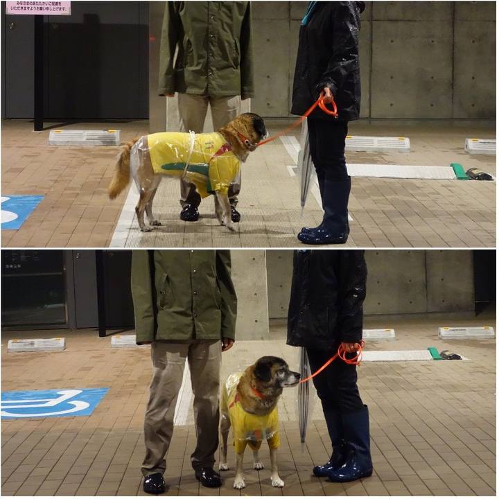 D3b6d467 00ee 4f52 8a88 1e6b35ca8a53 1619227815584