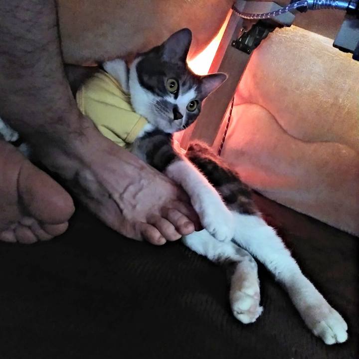 D3b6dd4d 43b8 4459 add7 732c2f74d00b 1585093683402