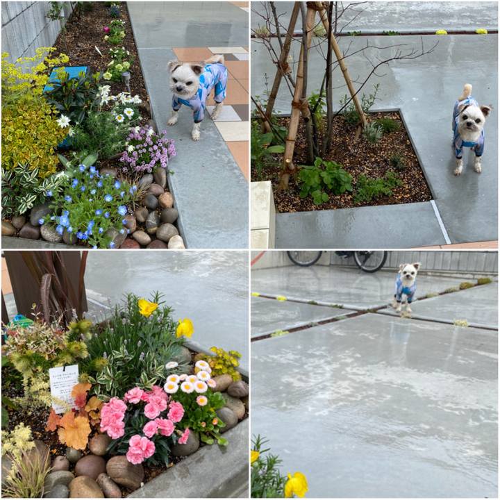 D3b6f101 528e 4950 9eb1 70ba1d7bdd12 1618634826688