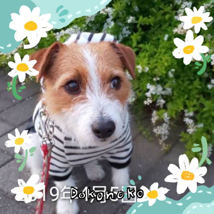 D3b7074d 40fb 4260 ae2c 96d177ef5407 1712705651055