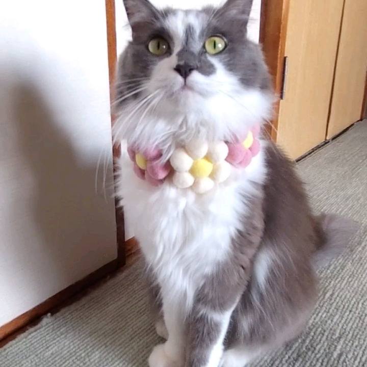 D3b7330b 2d06 4630 aa33 822b07309921 1668830093246