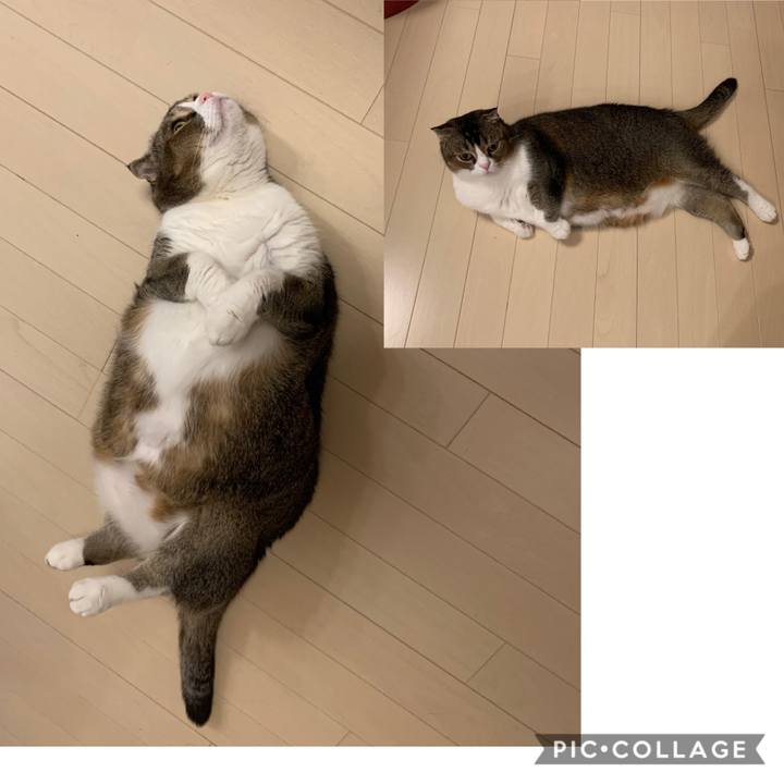 D3b73364 77a6 4836 8979 f7336324f4e2 1574499587483