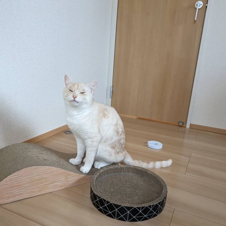 D3b73b63 ac1a 4cdc a808 0d9e060d59b5 1687131262989