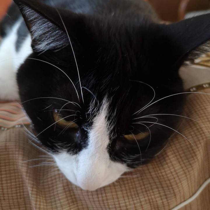 D3b77036 be20 417a 9957 362e40c6ce5f 1633766856519