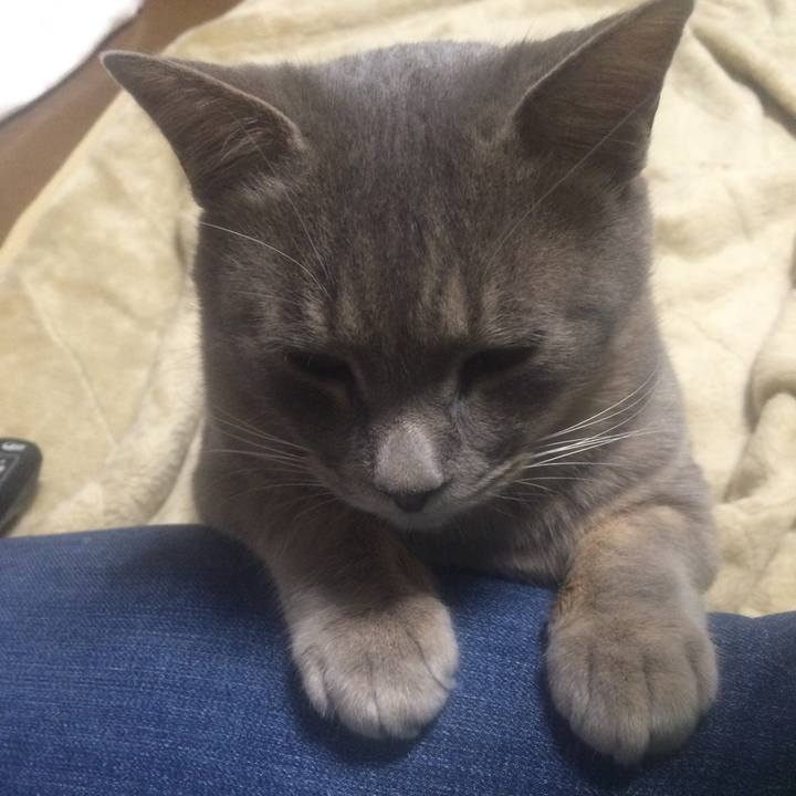 D3b7a2f4 9d8b 446d 8207 d853e0616fc0 1510749998545