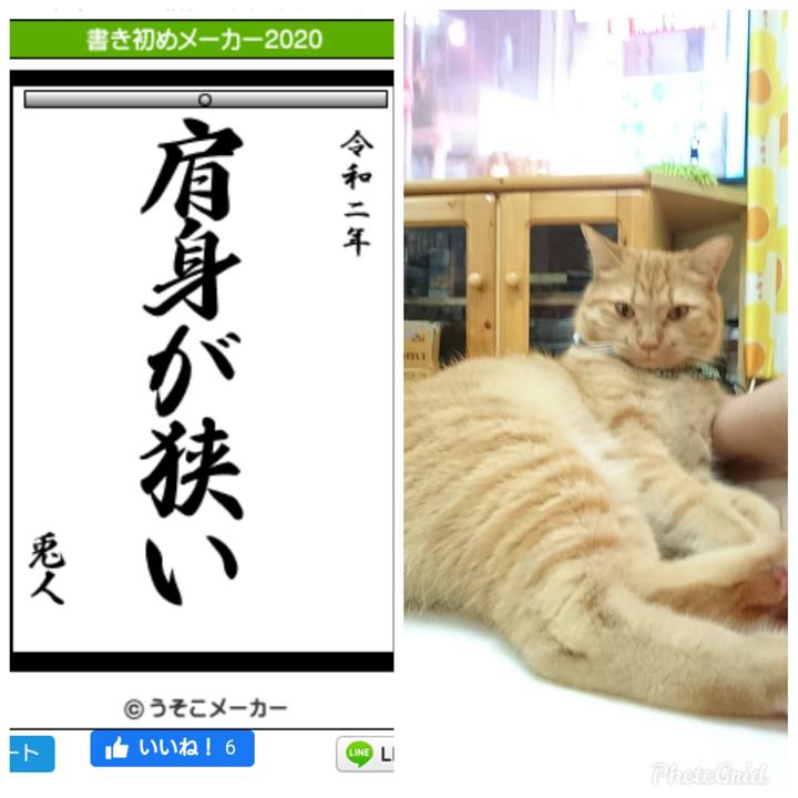 D3b7c024 6ee1 4a97 b840 682414e71e4b 1577927956941