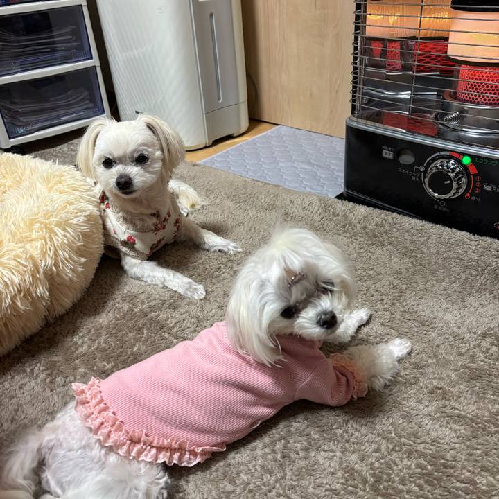 D3b80791 5a31 46b5 81aa b3cd5641ffb1 1742200263656