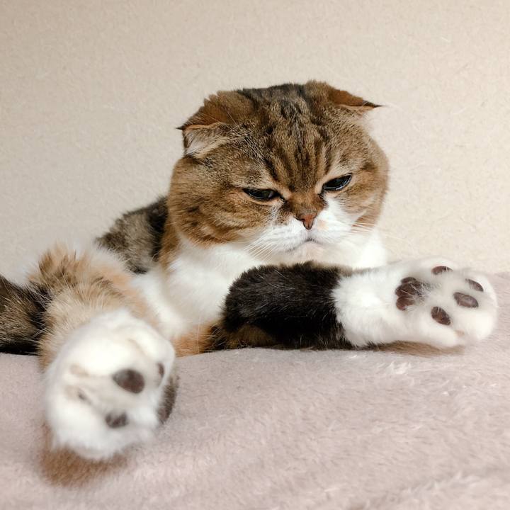 D3b808b7 be5f 4ee7 81be 1df2bfb545b1 1574158997419