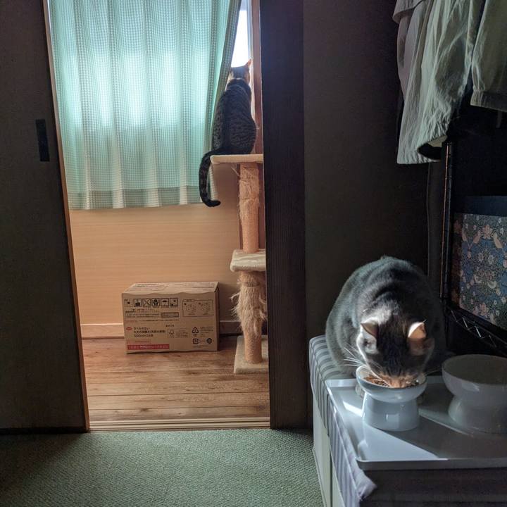 D3b81204 ce24 418a afc1 acd530eb9c4c 1744353720482