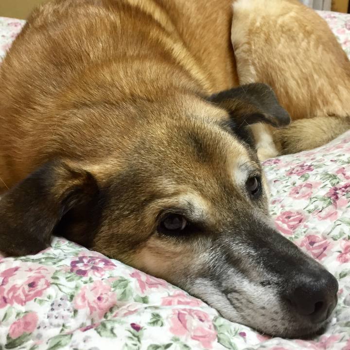 D3b822b3 40f0 40ce a78f 0f781fd41327 1580303334539