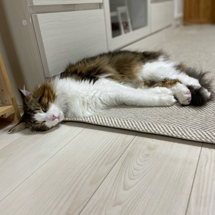 D3b8c847 afb9 453f 8128 477b633402b0 1657622416290