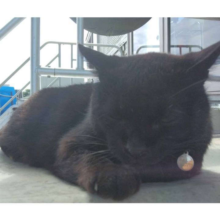 D3b8ecd1 6228 4036 a8b6 1744831c59b5 1715732661155