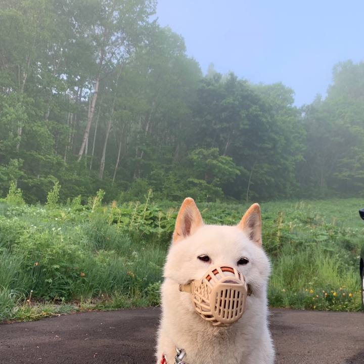 D3b9148b ccb2 48a3 b685 6850520d7d67 1558472200810