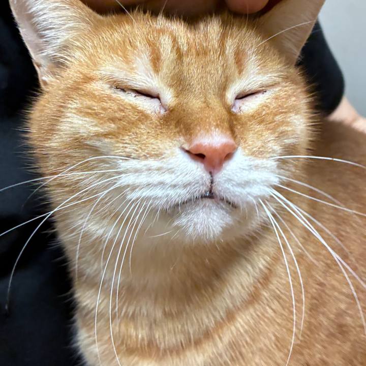 D3b9212d 3669 480d 824e 05cad8973aea 1772200669452