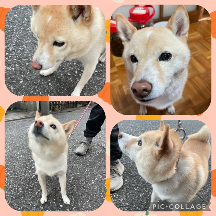 D3b922c9 1760 4e5b 9271 d5f3c2767015 1698963722305