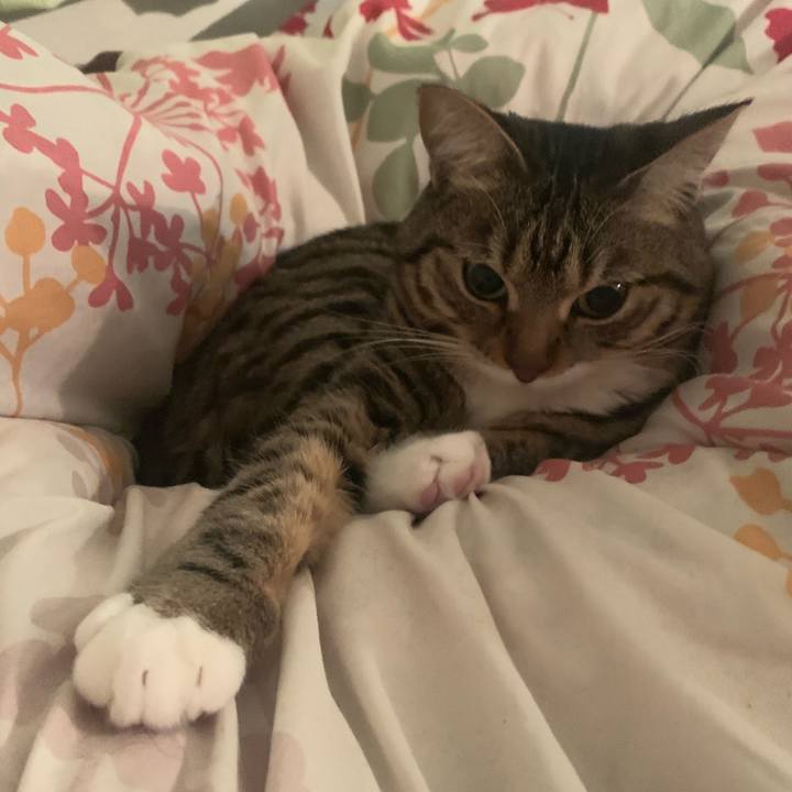 D3b9380e ed52 44b2 8c01 c1f1b974f139 1581940995980