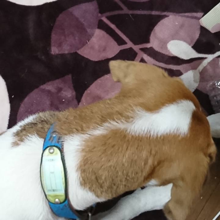 D3b94251 fdb7 4e5f bc42 05ebd98e8754 1574392717731