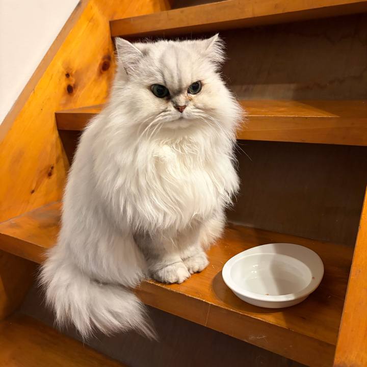 D3b954b5 a3be 48d7 ab24 3f936a7b5c44 1765366627781