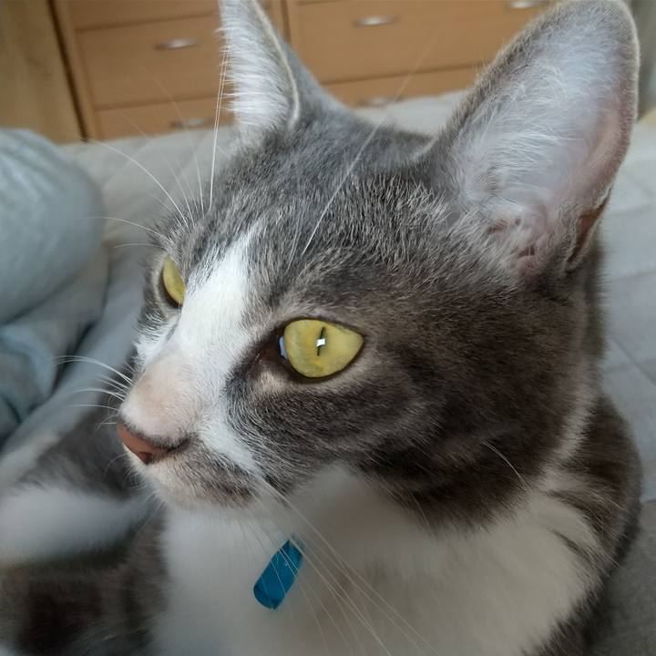 D3b95613 f295 46d9 872b 8cc7902bfff4 1598311675839