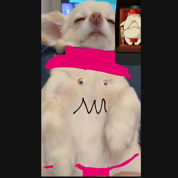 D3b977e7 db80 47c4 a0d7 b73d31c5e25c 1724502570692