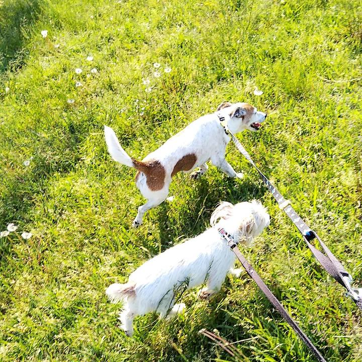 D3b98029 896a 46aa 8638 765dbe52930b 1557563515561