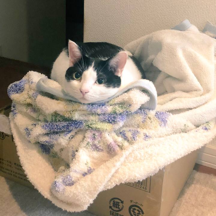 D3b9a24c abb5 456d 9df8 f76ed72ca674 1533112276420