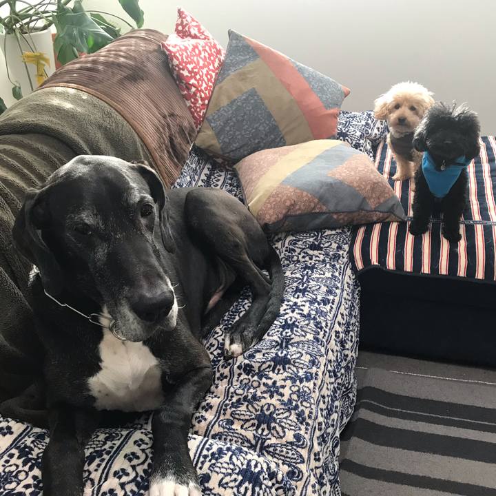 D3b9f3f8 36c2 4513 996d ef5b446ffde9 1544741718395