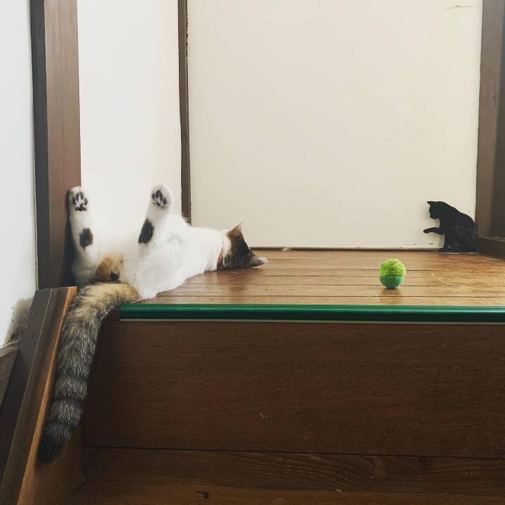 D3ba0272 9002 41e3 87af f07a24d809e3 1627348557740