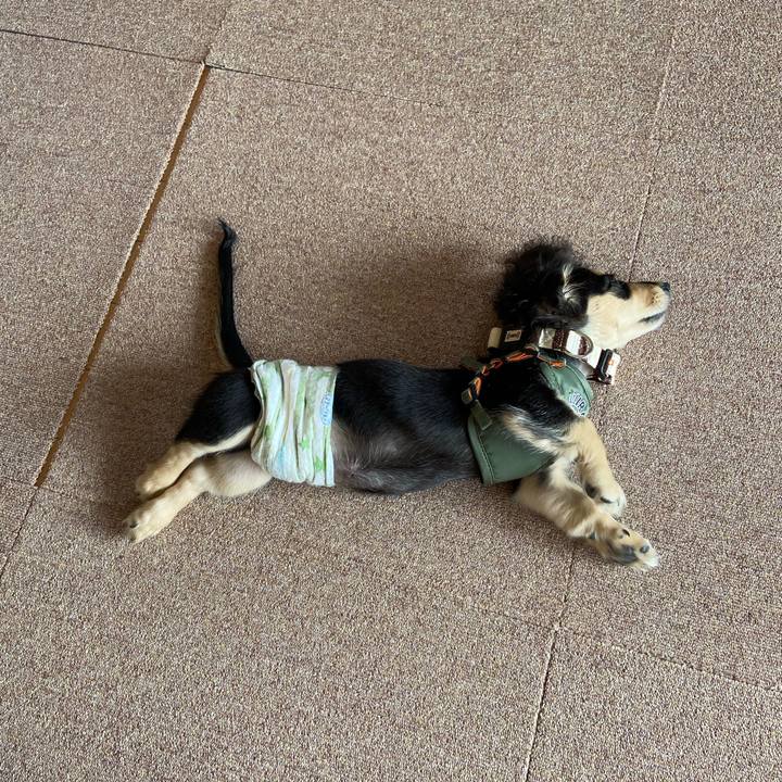 D3ba0540 8007 4ae7 89af 6e4df3e5bfc8 1667955190838