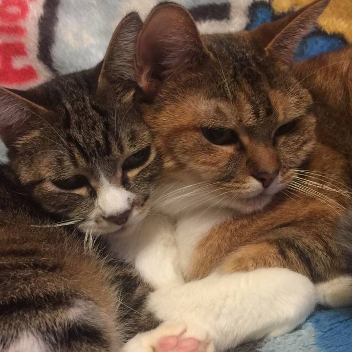 D3ba0cbc f801 4a1a 9c92 44aea1910936 1572086807869