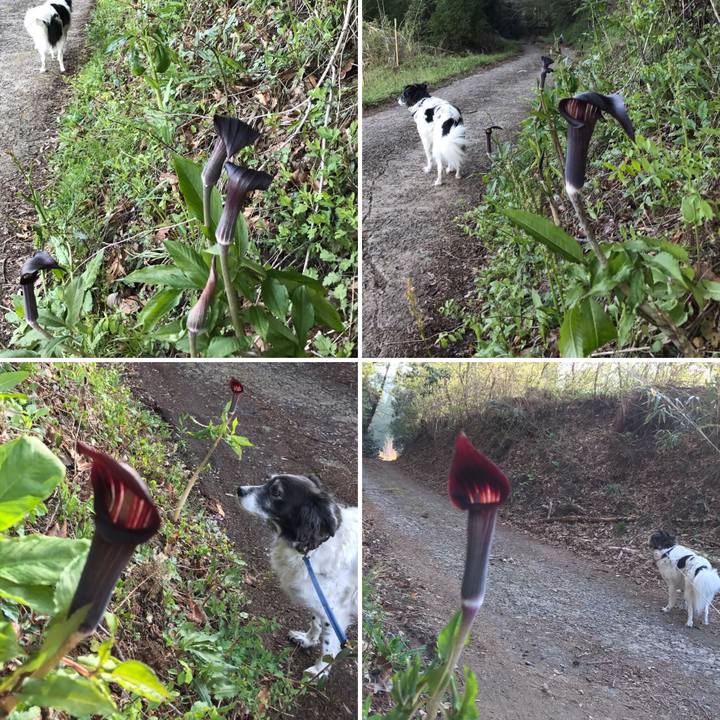 D3ba130a 75d0 4eaa 8afe 30d30dee2016 1540306790884