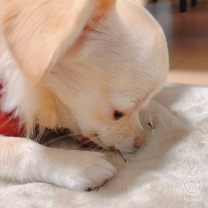 D3ba271d c284 49b3 91eb 4c8a80fd8497 1606292757224