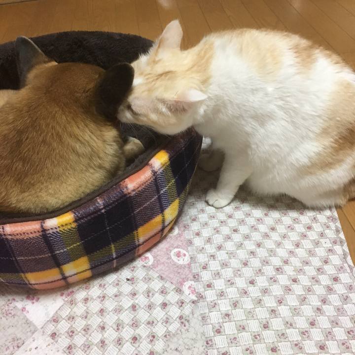 D3ba2ba2 fa24 4b96 a8ca ae17bd030b05 1517103185572