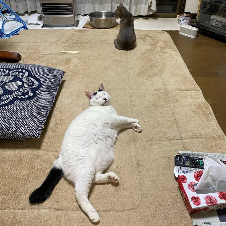 D3ba48d4 91f1 4c0d 9dae e435bcbab5de 1620015429709