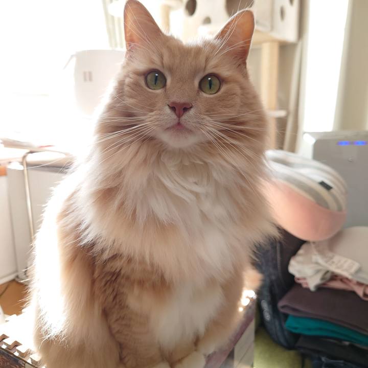 D3ba4948 515d 4e17 a6ef 9fc25ed13a03 1644632053979