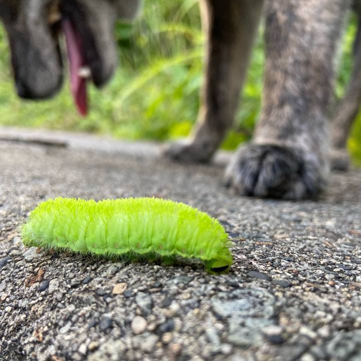 D3ba5d3b 7900 44c0 8d68 832e87e4efbd 1591786572744