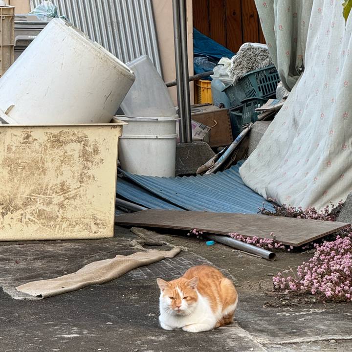 D3ba6aa6 5315 45ac be51 f7e8f2e2ece7 1763268996016