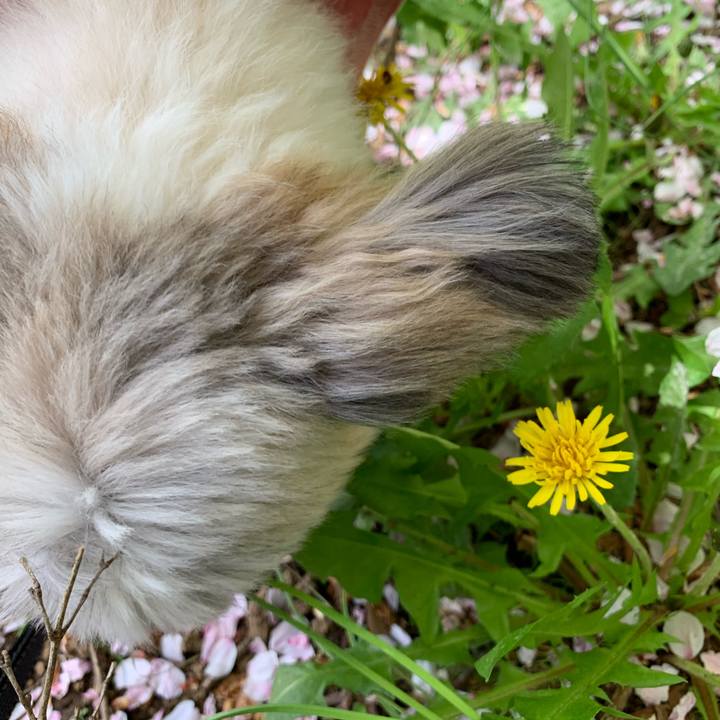 D3bac064 1353 4d42 addc f0c022dba4d1 1617263065763