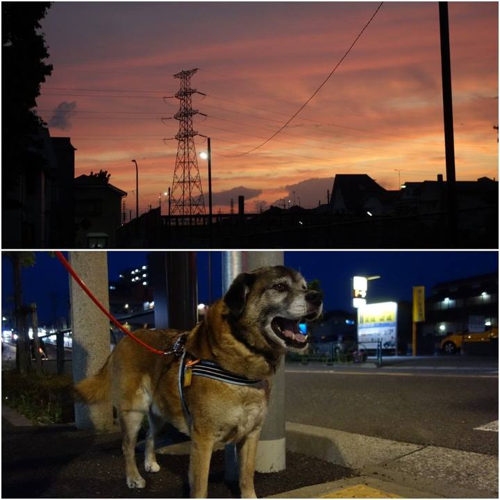 D3bacc0a dfb3 4b49 9438 bd7111c801b3 1556881617791