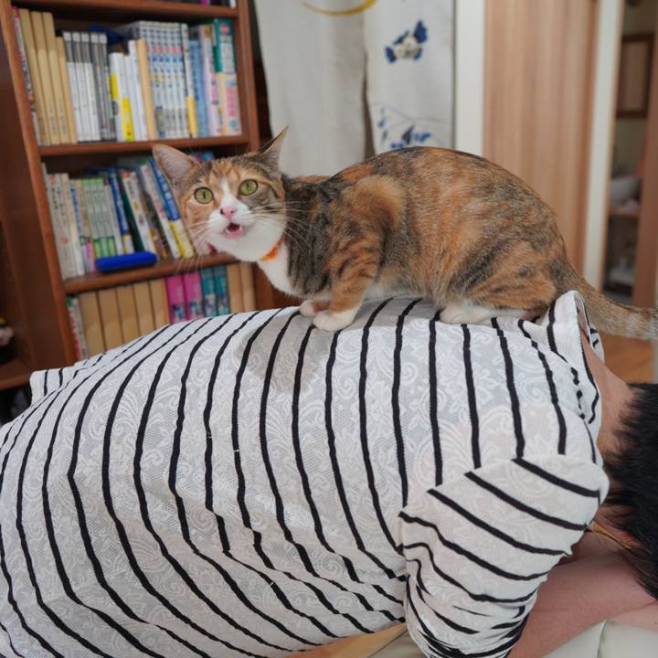 D3bad2b9 f1e9 48b3 b553 9c774d20787b 1589499981157