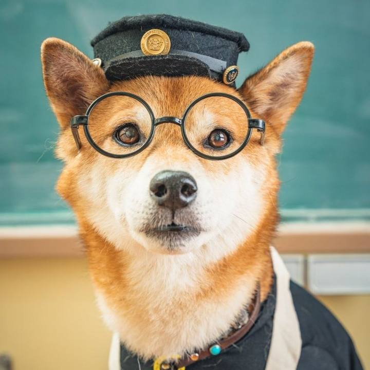 D3bb293a fa1a 42bd b15e 526c9a83b4b1 1724636591654