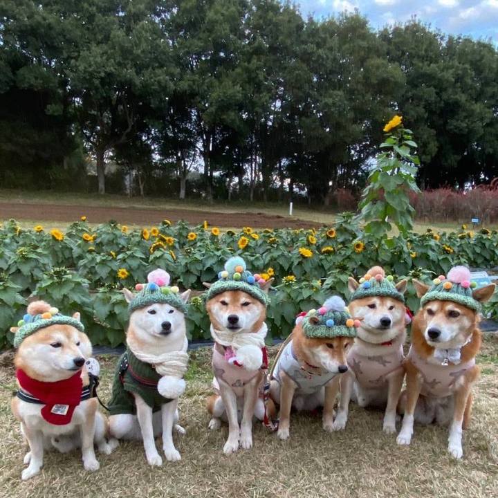 D3bb4825 f46d 41b8 a37d 203dfaaa7ac8 1670319108118