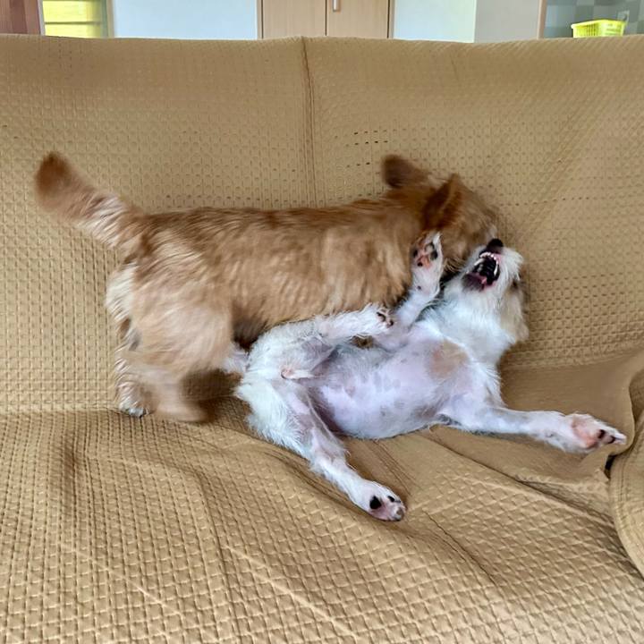 D3bb4f54 c291 484e baf4 add62d9591ce 1723442731074