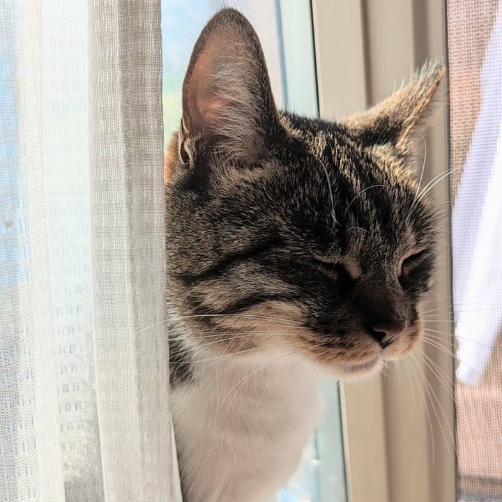 D3bba268 1ad9 490d ac74 33ac3d80088e 1713223742290