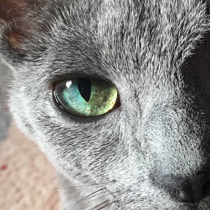 D3bbad5b 785a 4fce b774 80306c9d5e80 1537627118381