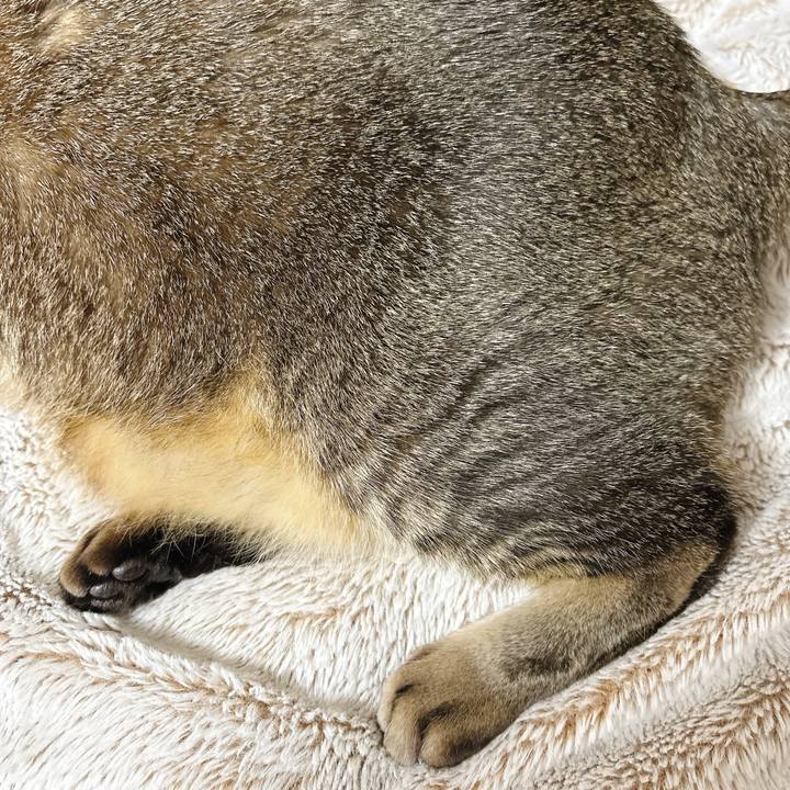 D3bbd5ef a05e 4b74 832f faee0760b845 1763625204231